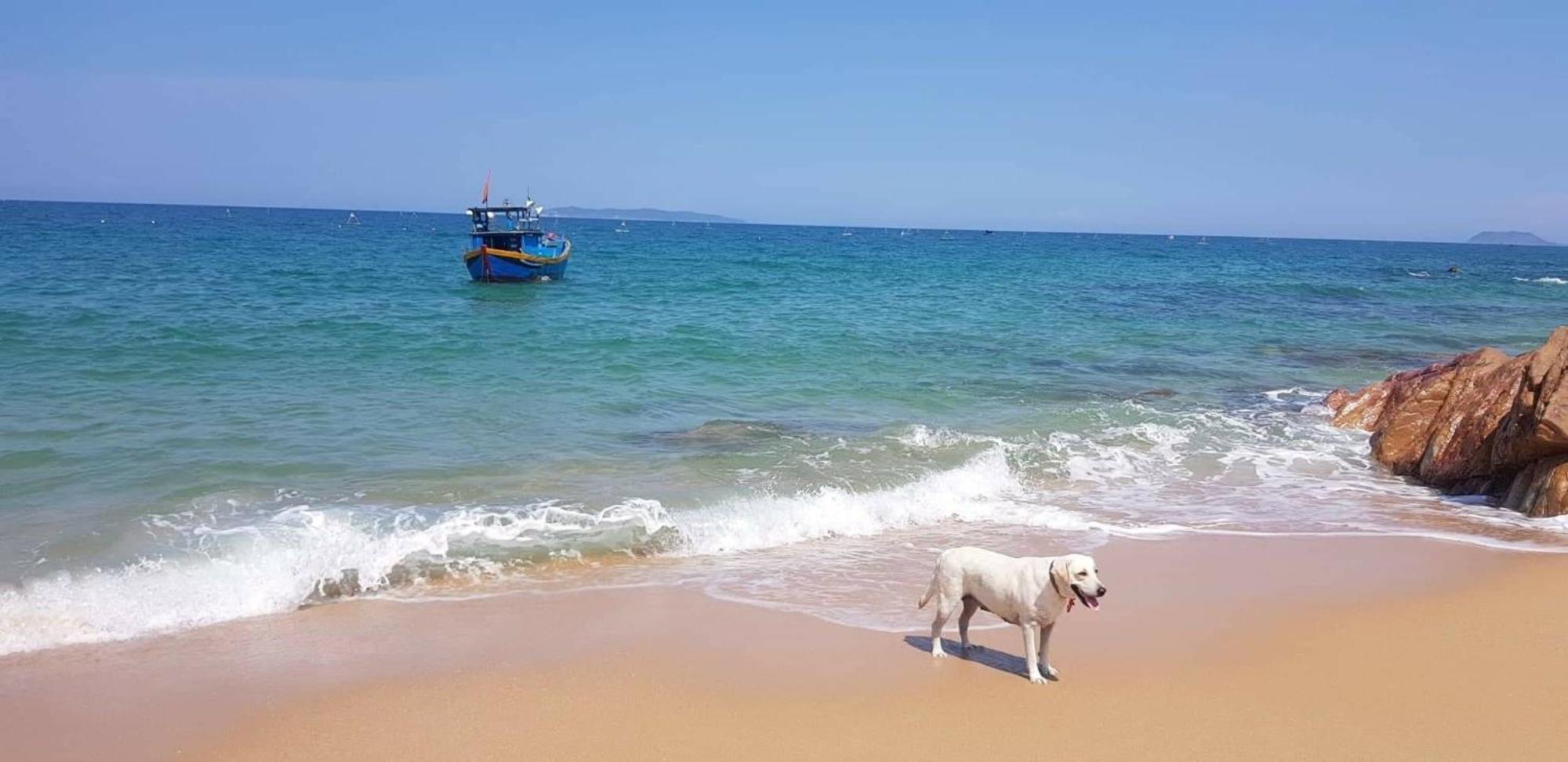 归仁 海滩生活旅馆酒店 外观 照片